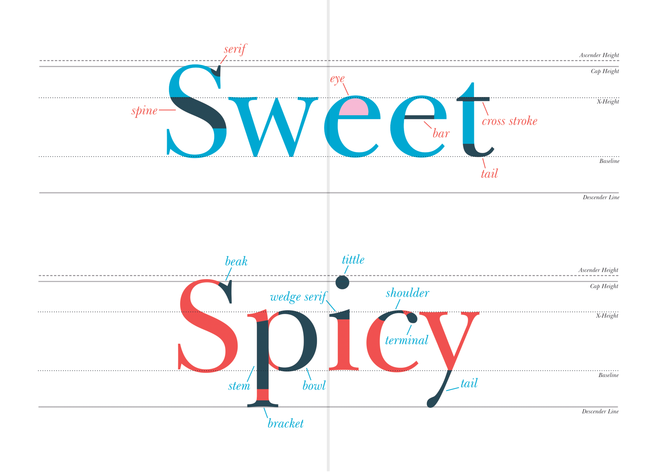 Spread 5